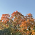 2024-10-12_Berkshire-Brewing-06