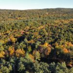 2024-10-12_CT-River-Sunderland-05