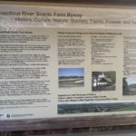 2024-10-12_CT-River-Sunderland-06