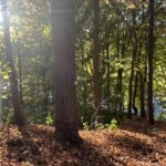 2024-10-12_CT-River-Sunderland-09