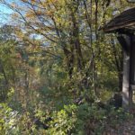 2024-10-12_CT-River-Sunderland-10