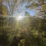 2024-10-12_CT-River-Sunderland-12