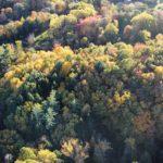 2024-10-12_Montague-Book-Mill-04