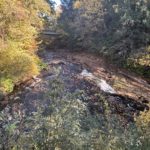 2024-10-12_Montague-Book-Mill-08