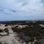 dji_2026-04-25_12-22-58_Herring-Cove-Beach