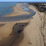 dji_2026-04-25_12-24-00_Herring-Cove-Beach