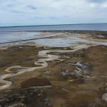 dji_2026-04-25_12-29-42_Herring-Cove-Beach