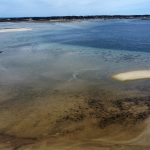 dji_2026-04-25_13-33-04_Pilgrim-First-Landing