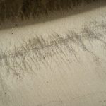 dji_2026-04-25_13-33-14_Pilgrim-First-Landing
