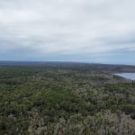 dji_2026-04-26_12-04-38_Outer-Cape